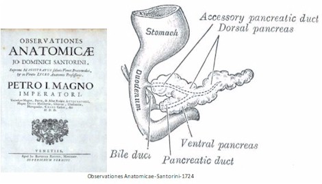 Universidad_Padua_Medicina/observaciones_anatomicas_santorini