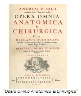 Universidad_Padua_Medicina/opera_omnia_anatomica