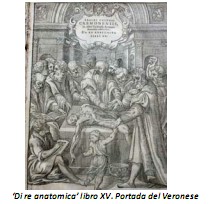 Universidad_Padua_Medicina/portada_del_veronese