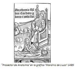 Universidad_Padua_Medicina/prosector_de_anatomia Universidad_Padua_Medicina/prosector_de_anatomia