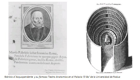 Universidad_Padua_Medicina/teatro_anatomico_d-acquapendente Universidad_Padua_Medicina/teatro_anatomico_d-acquapendente