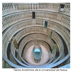 Universidad_Padua_Medicina/teatro_anatomico_padua