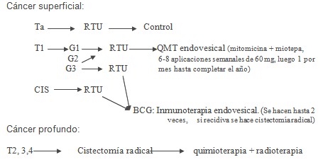 cancer_carcinoma_vejiga/tratamiento_radioterapia_quimioterapia