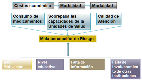 percepcion_riesgo_dengue/cuadro_sinoptico_problema