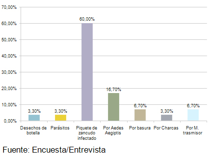 percepcion_riesgo_dengue/transmicion_del_dengue