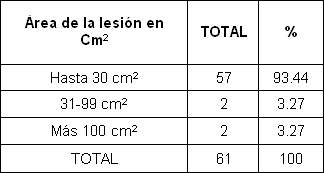 pie_diabetico_anciano/area_lesion_centimetros pie_diabetico_anciano/area_lesion_centimetros