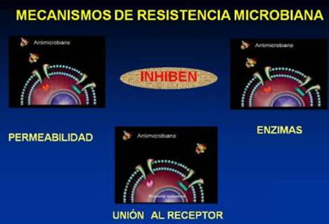 resistencia_bacteriana_antibioticos/mecanismos_resistencia_microbiana resistencia_bacteriana_antibioticos/mecanismos_resistencia_microbiana