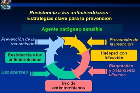 resistencia_bacteriana_antibioticos/resistencia_estrategias_prevencion