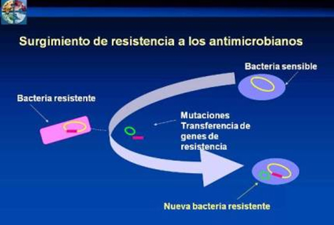 resistencia_bacteriana_antibioticos/surgimiento_resistencia_antimicrobianos