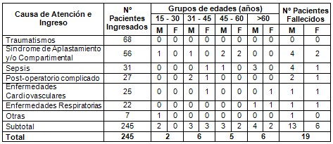 atencion_medica_vital/causa_motivo_ingreso atencion_medica_vital/causa_motivo_ingreso