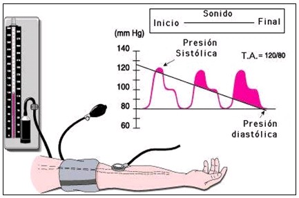 clinica_epidemiologia_hipertension/korotkoff_presion_arterial