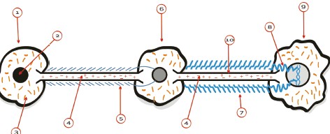 electricidad_cancer/metastasis_sistema_nervioso