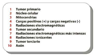 electricidad_cancer/sistema_nervioso_autonomo