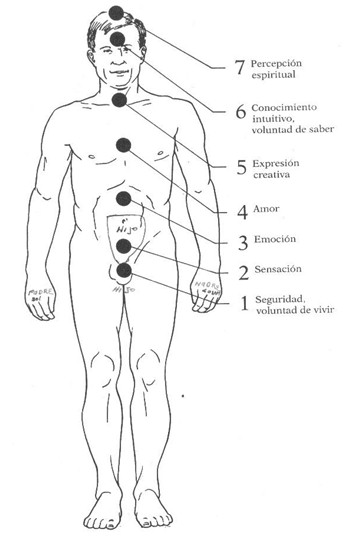 homeopatia_homeotronica_juveriana/homeotronica_tecnologia_avanzada