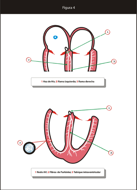 metastasis_curacion_cancer/figura_4