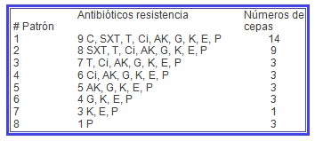 MARSA_aureus_meticilina/patron_resistencia_antibioticos