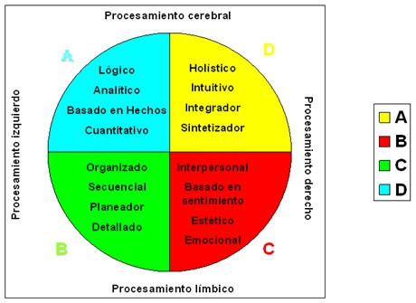 dominancia_cerebral_estudiantes/procesamiento_cerebro_limbico dominancia_cerebral_estudiantes/procesamiento_cerebro_limbico