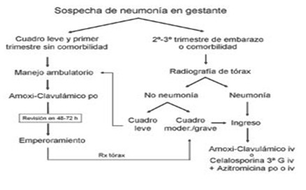 enfermedades_respiratorias_embarazo/sospecha_neumonia_gestante
