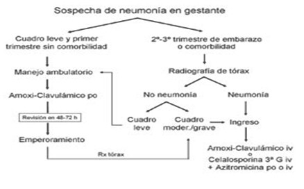 enfermedades_respiratorias_embarazo/sospecha_neumonia_gestante enfermedades_respiratorias_embarazo/sospecha_neumonia_gestante