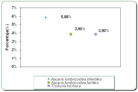 perfil_epidemiologico_esquistosomiasis/ascaris_lumbricoides_trichiura