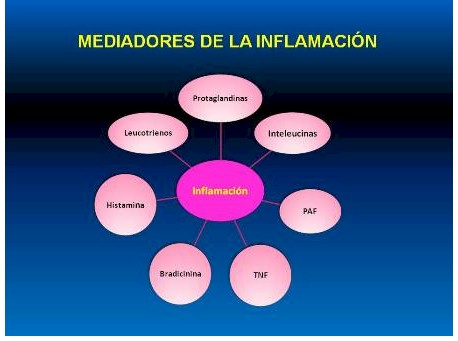 antiinflamatorios_no_esteroideos/mediadores_de_inflamacion