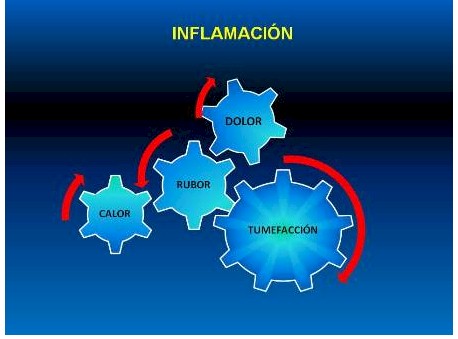 antiinflamatorios_no_esteroideos/tetrada_de_selseo