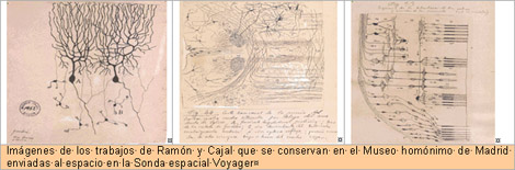 historia_histologia_sinapsis/neuronas_tincion_argifofila