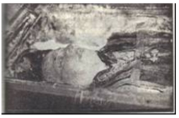 intoxicacion_cianuro_preservacion/foto4_Rafael_Guizar1950 intoxicacion_cianuro_preservacion/foto4_Rafael_Guizar1950