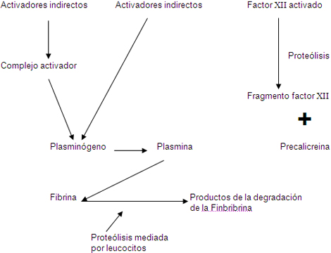 prevalencia_causas_alveolitis/componentes_basicos_fibrinolisis