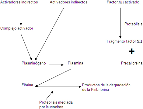 prevalencia_causas_alveolitis/componentes_basicos_fibrinolisis prevalencia_causas_alveolitis/componentes_basicos_fibrinolisis
