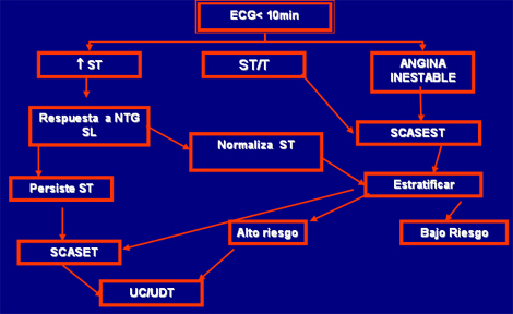 sindrome_coronario_agudo/clasificacion_segun_ECG sindrome_coronario_agudo/clasificacion_segun_ECG