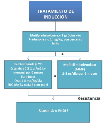 tratamiento_nefritis_lupica/terapia_induccion_nefropatia tratamiento_nefritis_lupica/terapia_induccion_nefropatia