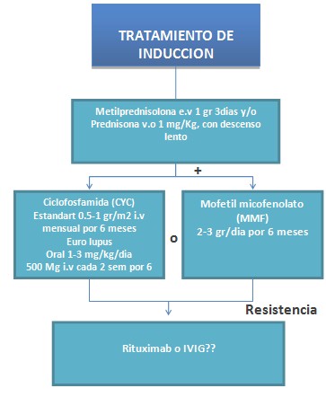 tratamiento_nefritis_lupica/terapia_induccion_nefropatia