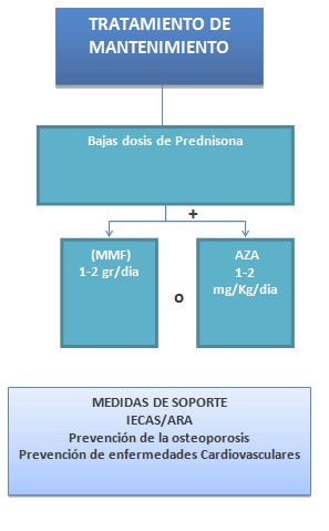 tratamiento_nefritis_lupica/terapia_mantenimiento_nefropatia