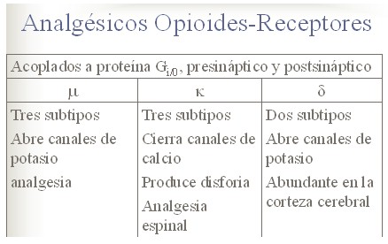 farmacos_analgesicos_opioides/receptores_mu_kappa