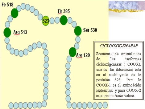 antiinflamatorios_no_esteroideos/COX_aa antiinflamatorios_no_esteroideos/COX_aa