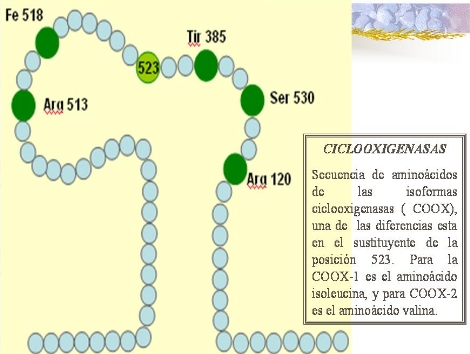 antiinflamatorios_no_esteroideos/COX_aa