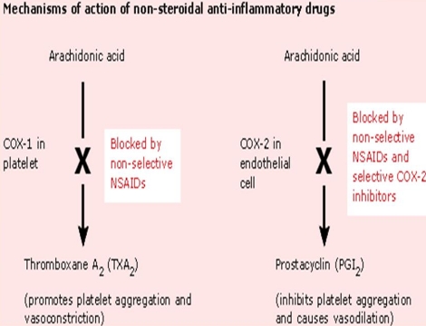 antiinflamatorios_no_esteroideos/mecanismo_cox