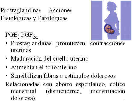 autacoides_respuesta_inflamatoria/efectos_embarazo_parto