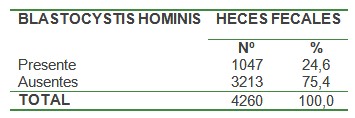 blastocitis_blastocytis_hominis/presencia_heces_fecales