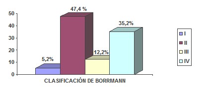 cancer_gastrico_avanzado/clasificacion_Borrmann_lesiones cancer_gastrico_avanzado/clasificacion_Borrmann_lesiones