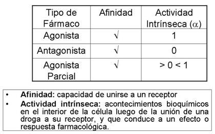 farmacodinamia_farmacologia/afinidad_actividad_intrinseca farmacodinamia_farmacologia/afinidad_actividad_intrinseca