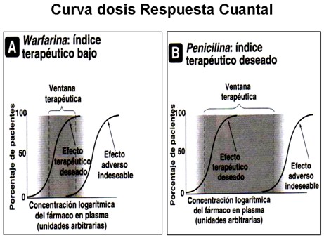 farmacodinamia_farmacologia/curva_respuesta_cuantal2