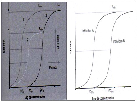 farmacodinamia_farmacologia/curva_respuesta_gradual