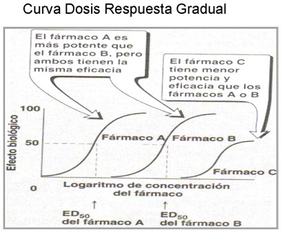 farmacodinamia_farmacologia/dosis_respuesta_gradual2