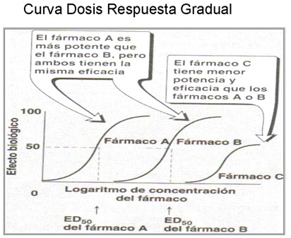 farmacodinamia_farmacologia/dosis_respuesta_gradual2 farmacodinamia_farmacologia/dosis_respuesta_gradual2