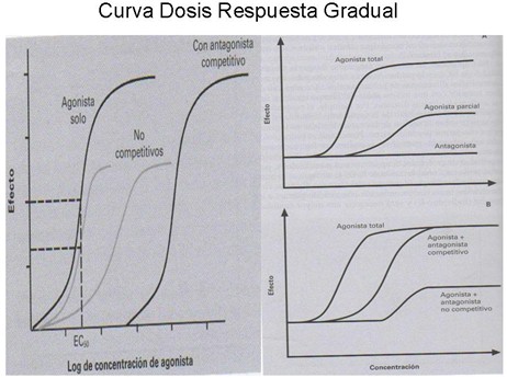 farmacodinamia_farmacologia/dosis_respuesta_gradual3 farmacodinamia_farmacologia/dosis_respuesta_gradual3