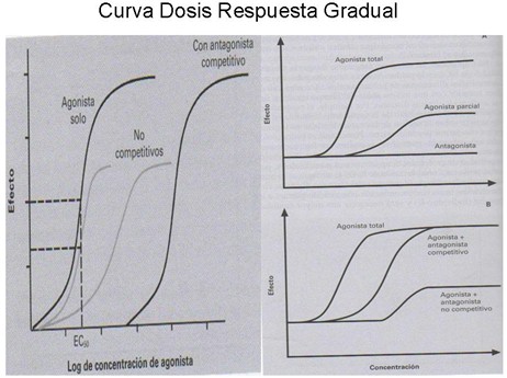 farmacodinamia_farmacologia/dosis_respuesta_gradual3