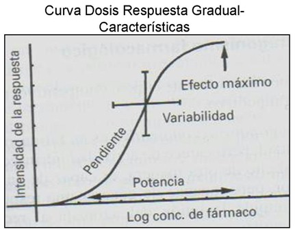 farmacodinamia_farmacologia/respuesta_gradual_caracteristicas