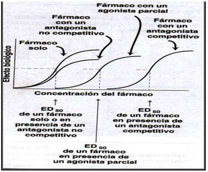 farmacodinamia_farmacologia/respuesta_gradual_caracteristicas2 farmacodinamia_farmacologia/respuesta_gradual_caracteristicas2